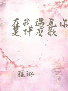 在我遇见你以前是什么歌