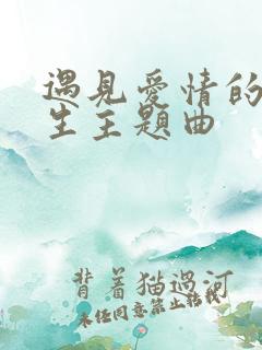 遇见爱情的利先生主题曲