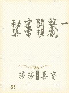 秘密关系一共几集电视剧