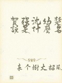 贺强沈幼楚的小说是什么名字