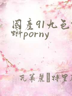 国产91九色蝌蚪porny