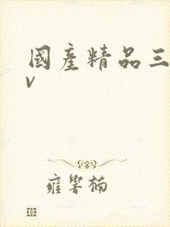 国产精品三级av
