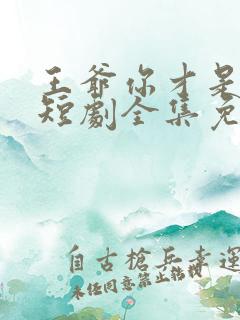 王爷你才是替身短剧全集免费观看