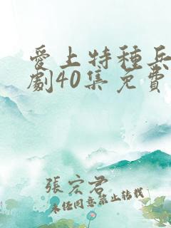 爱上特种兵电视剧40集免费观看