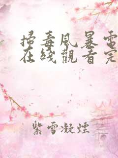 扫毒风暴电视剧在线观看完整版高清