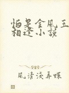 怕是金风玉露不相逢小说