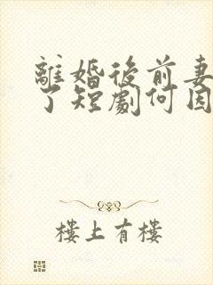 离婚后前妻后悔了短剧何因九
