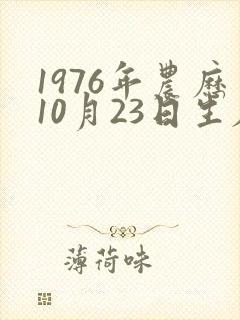1976年农历10月23日生辰八字