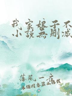 我家娘子不对劲小说无删减