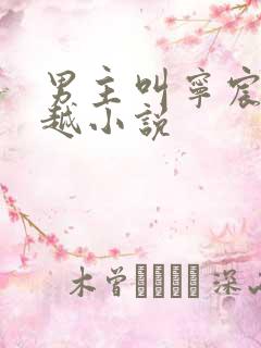 男主叫宁宸的穿越小说 男主叫宁宸的穿越小说