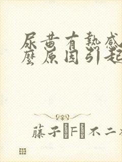 尿黄有热感是什么原因引起的