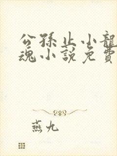 公孙止小龙女销魂小说免费阅读