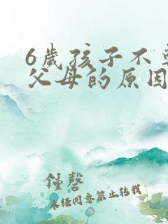 6岁孩子不尊重父母的原因