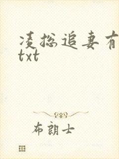 凌总追妻有点甜txt