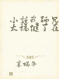 小说我师兄实在太稳健了在线看