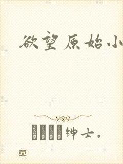 欲望原始小说