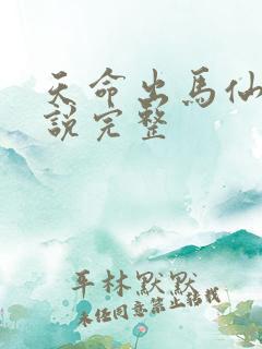 天命出马仙2小说完整