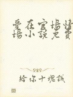 爱在官场情在官场小说免费阅读