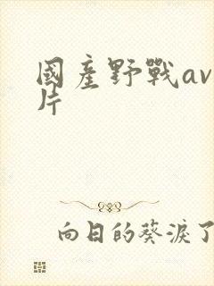 国产野战av毛片