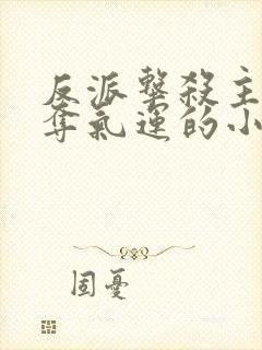 反派击杀主角掠夺气运的小说