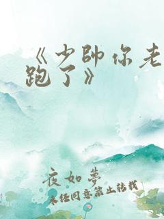 《少帅你老婆又跑了》