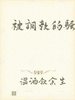 被调教的骚母狗