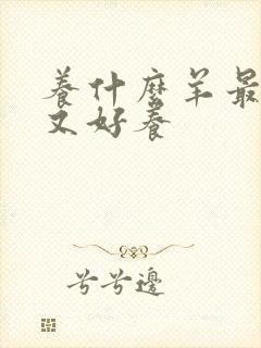 养什么羊最赚钱又好养
