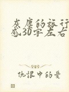 灰尘的旅行读后感30字左右四年级