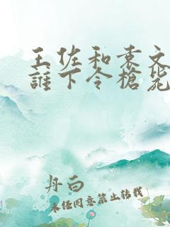 王佐和袁文才被谁下令枪毙