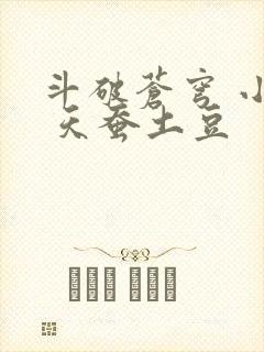 斗破苍穹 小说 天蚕土豆