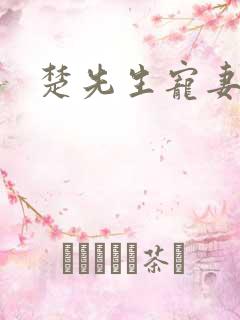 楚先生宠妻日常