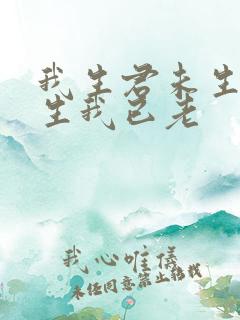 我生君未生 君生我已老 我生君未生 君生我已老