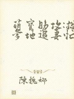 萌宝助攻:总裁爹地追妻忙
