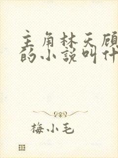 主角林天顾悦瑶的小说叫什么