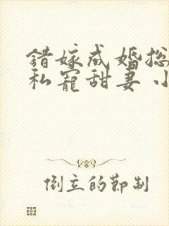 错嫁成婚总裁的私宠甜妻 小说