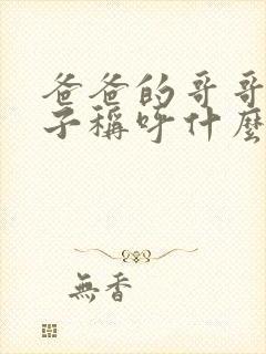 爸爸的哥哥的儿子称呼什么