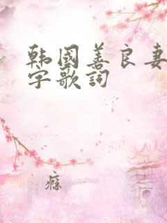韩国善良妻子中字歌词