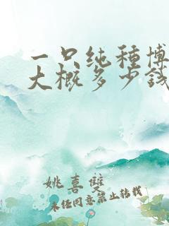 一只纯种博美犬大概多少钱