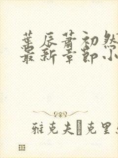 叶辰萧初然免费最新章节小说
