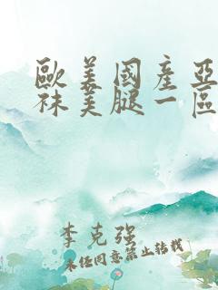 欧美国产亚洲丝袜美腿一区