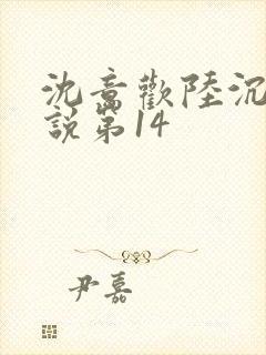 沈意欢陆沉舟小说第14