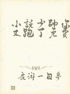 小说少帅你老婆又跑了免费