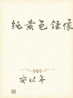 纯黄色录像播放