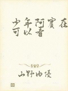 少年阿宾在哪里可以看