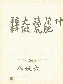 种大蒜用什么肥料做底肥