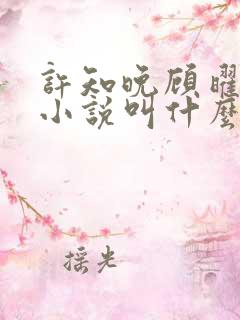 许知晚顾曜辰的小说叫什么名字
