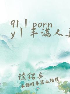 91丨porny丨丰满人妻网站