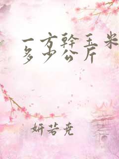 一方干玉米粒有多少公斤