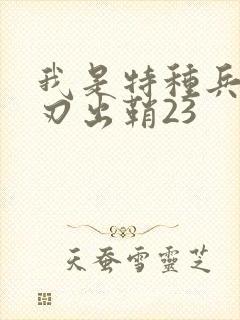 我是特种兵之利刃出鞘23