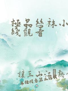 极品丝袜小说在线观看